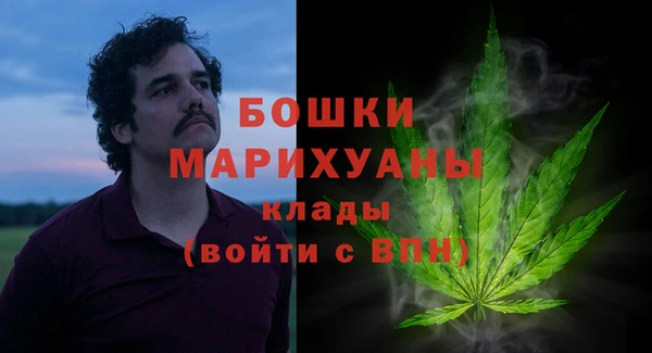 стафф Корсаков