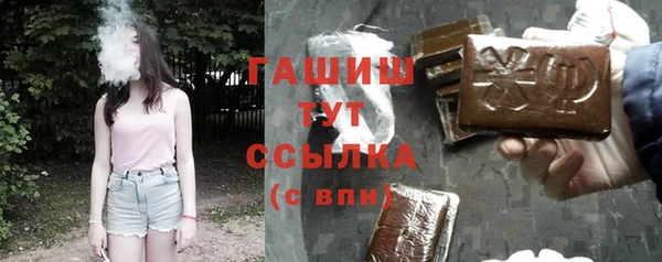 стафф Корсаков